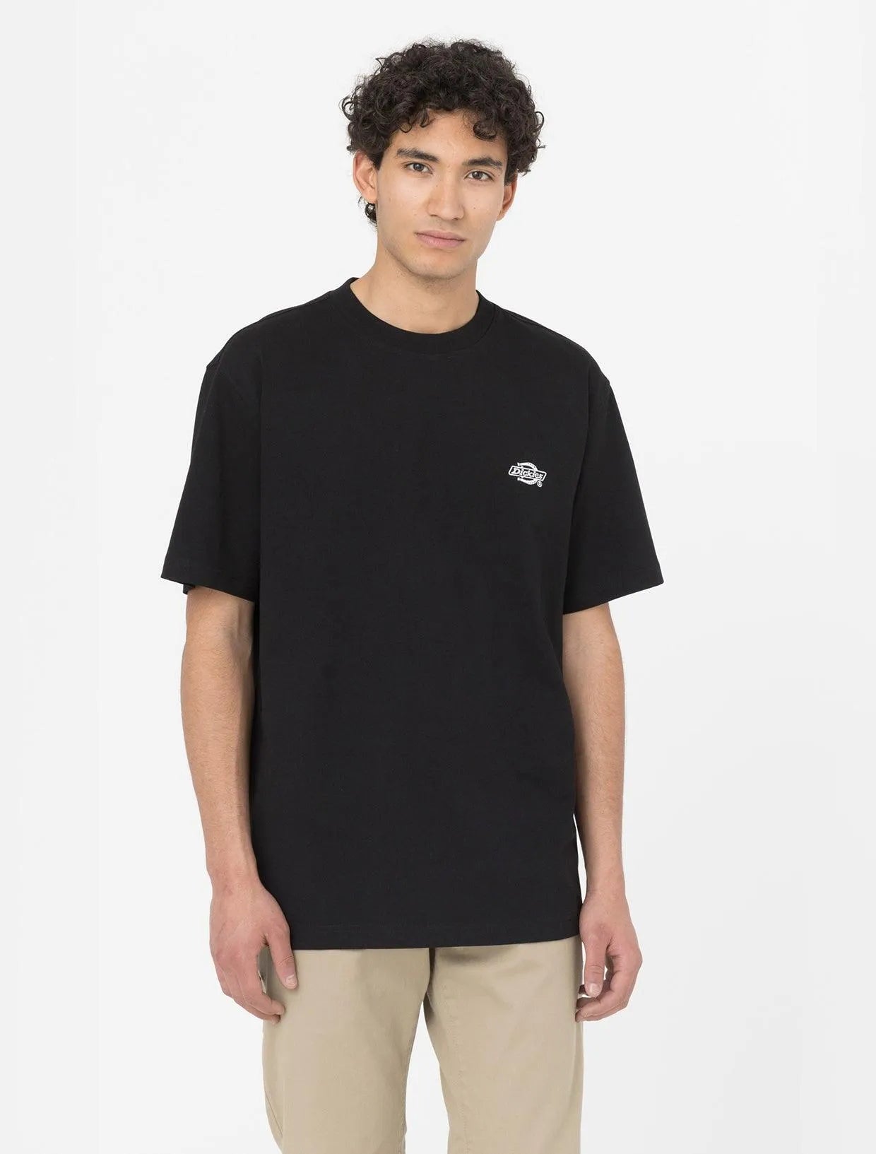 T-Shirt Dickies Summerdale Black, streetwear,DK0A4YAIBLK1, Dickies, 1, 196246602372,