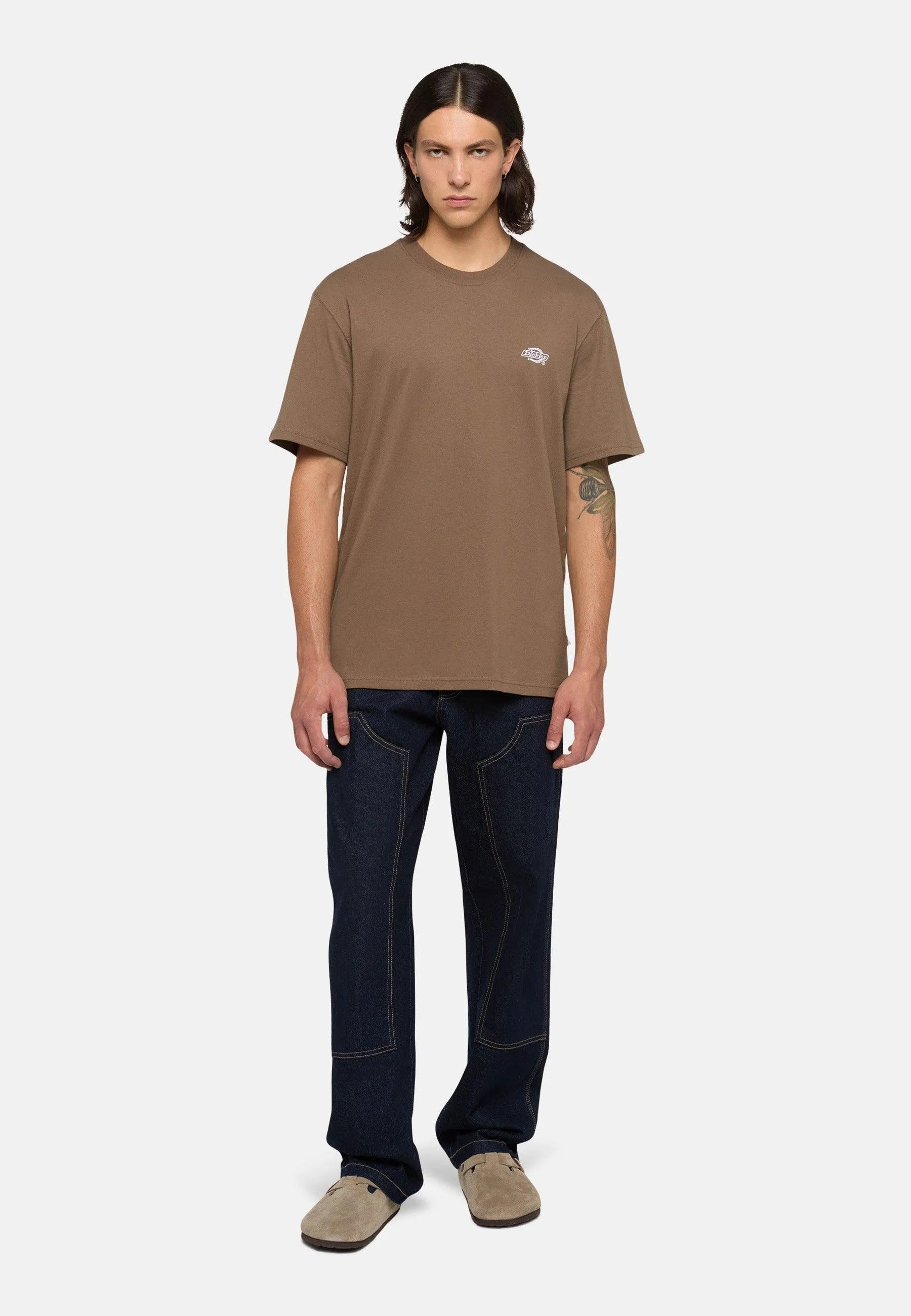 T-Shirt Dickies Summerdale Marrone, streetwear,DK0A4YAIMR11, Dickies, 1, 195439905740,
