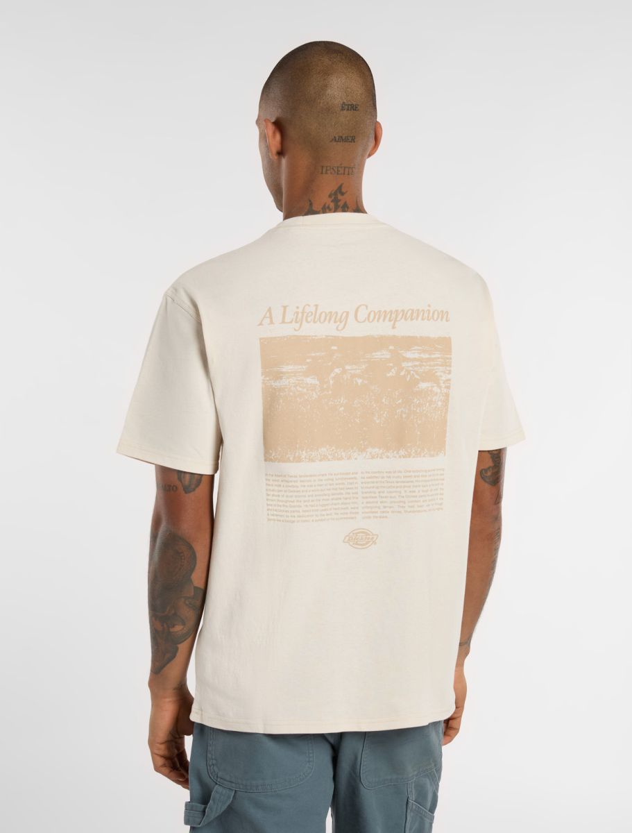 T-SHIRT COMPANION SCRIPT SS WHITECAP, streetwear,DK0A4Z92F901, Dickies, 1, 196011929086,