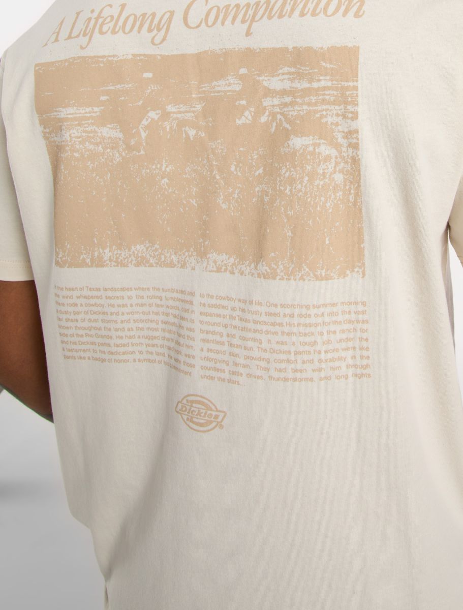 T-SHIRT COMPANION SCRIPT SS WHITECAP, streetwear,, Dickies, 4, ,