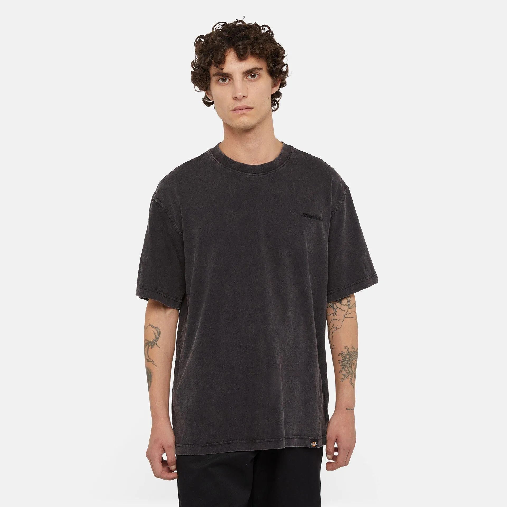 T-Shirt Dickies Plentywood Acid Wash Black, streetwear,DK0A866BH861, Dickies, 1, 195439942882,