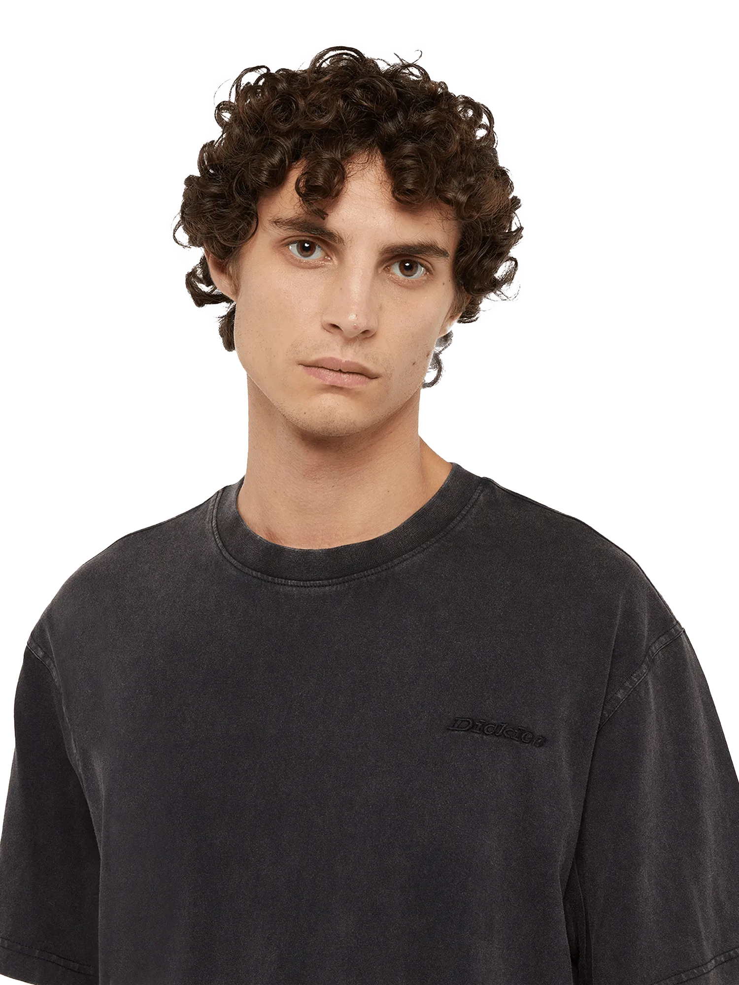 T-Shirt Dickies Plentywood Acid Wash Black, streetwear,, Dickies, 3, ,