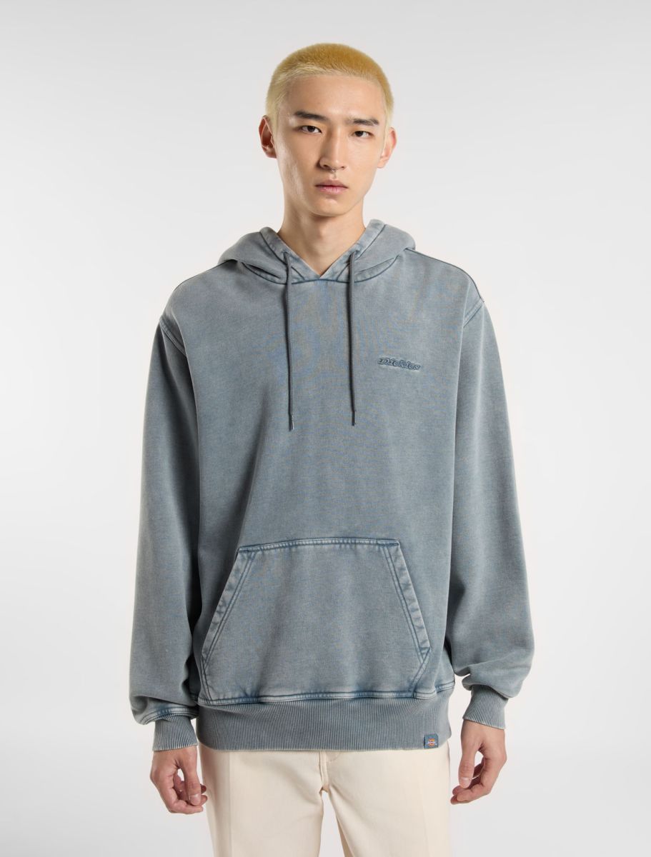 FELPA DICKIES PLENTYWOOD STORMY WEATHE, streetwear,DK0A866DG701, Dickies, 1, 196011951469,