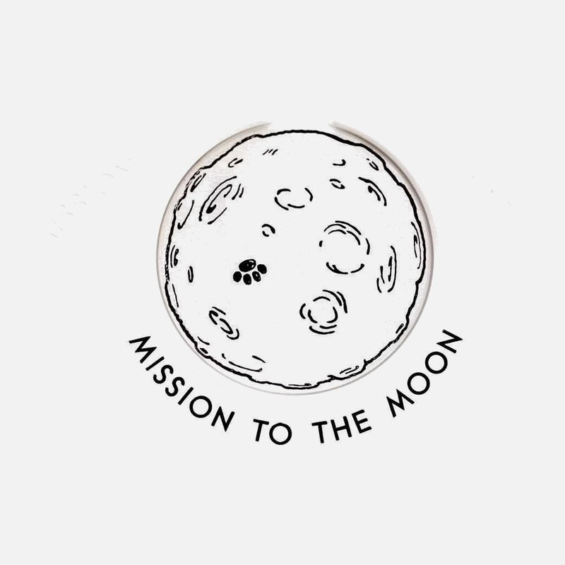 Swatch x Omega Bioceramic Moonswatch Mission To Moonphase Snoopy SO33W700