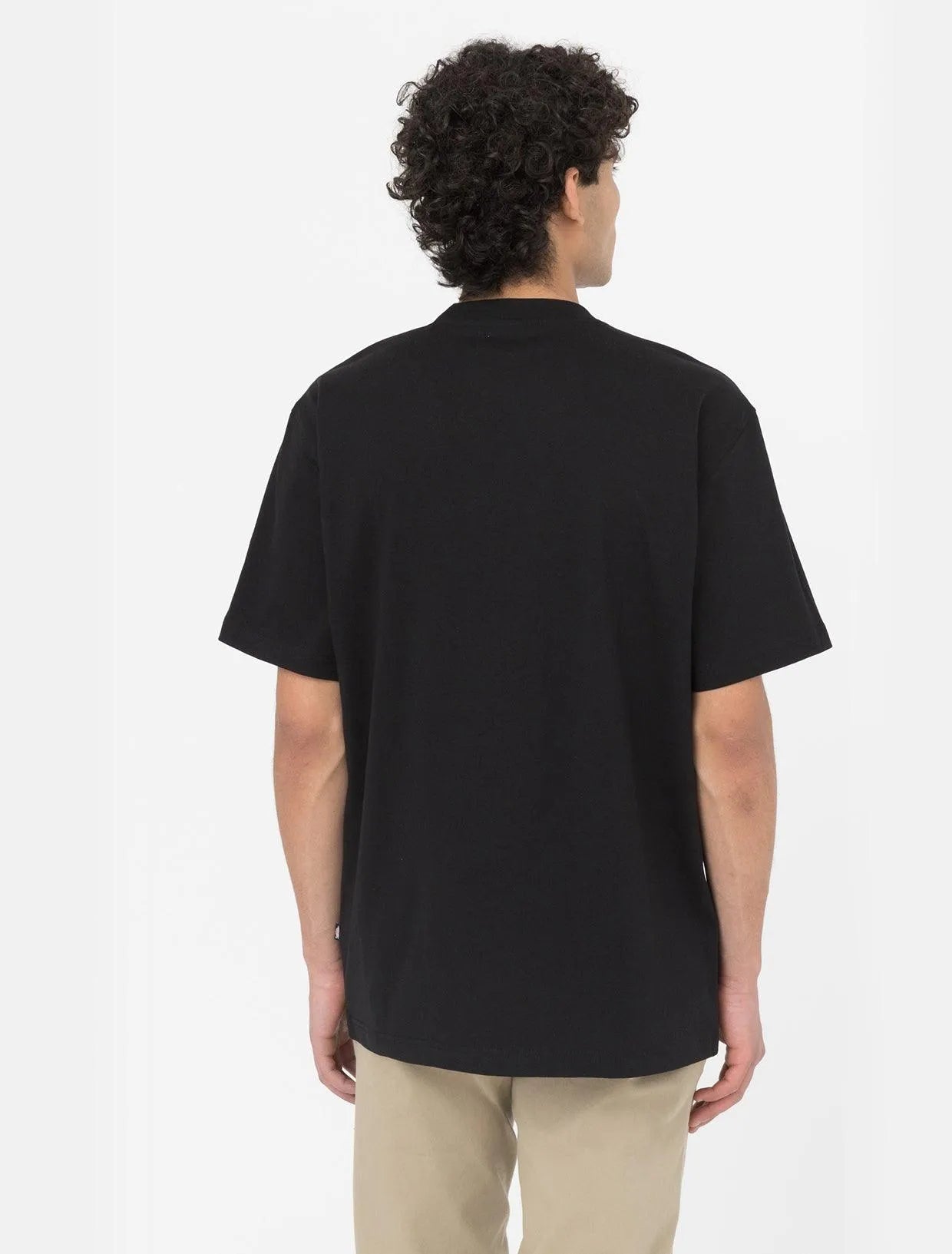 T-Shirt Dickies Summerdale Black - Belfagorsneakers