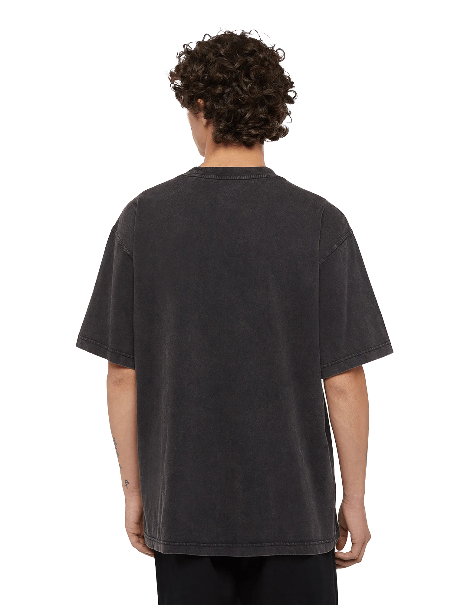 T-Shirt Dickies Plentywood Acid Wash Black, streetwear,, Dickies, 2, ,