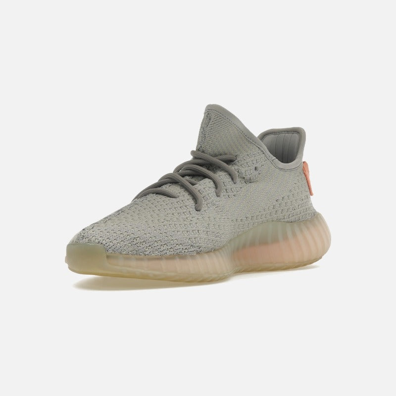 Adidas Yeezy Boost 350 v2 True Form